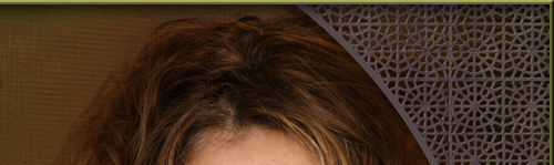 Amy Brenneman home page